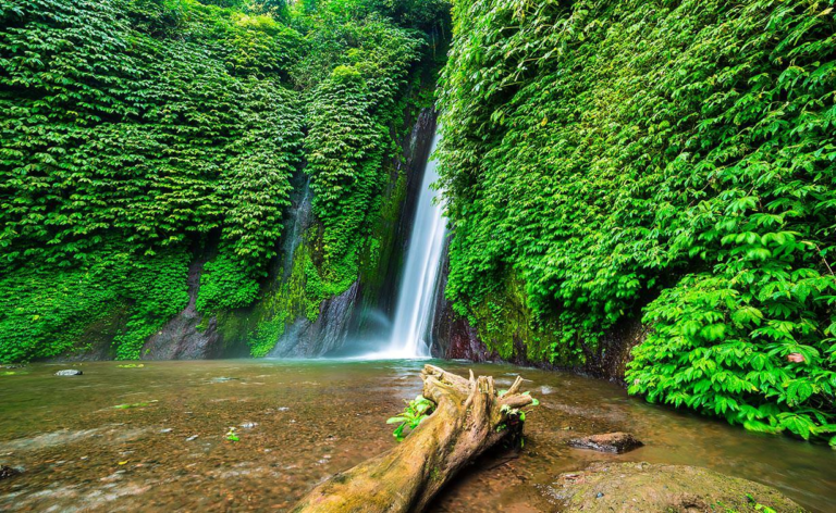 Munduk Mountain estate, private, villa, family, hot plunge, buyan, tamblingan, ulun danu beratan, golf, pool, infinity, fence villa, rental, property, guest, waterfall,